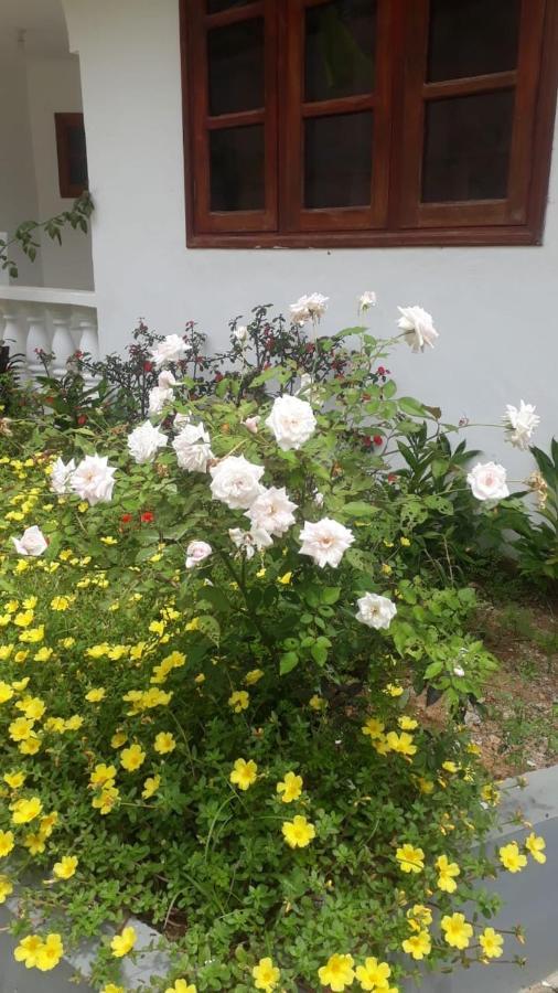 Ogumka, Self Catering , Beoliere, Mahe Hotel วิกตอเรีย ภายนอก รูปภาพ