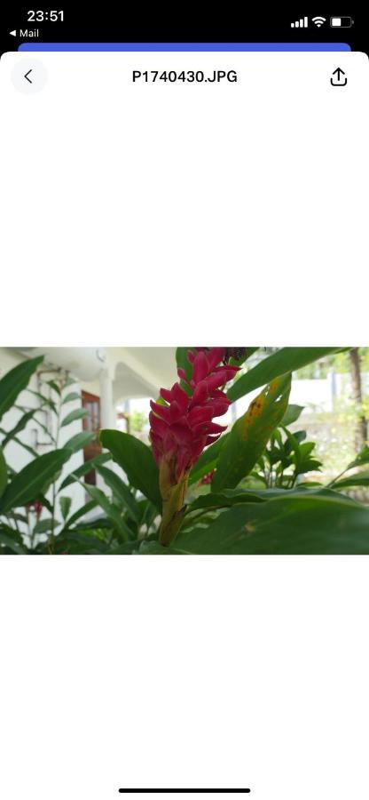 Ogumka, Self Catering , Beoliere, Mahe Hotel วิกตอเรีย ภายนอก รูปภาพ